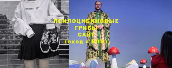 амф Бердск
