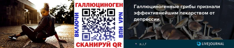 Псилоцибиновые грибы Psilocybine cubensis блэк спрут tor Новотроицк
